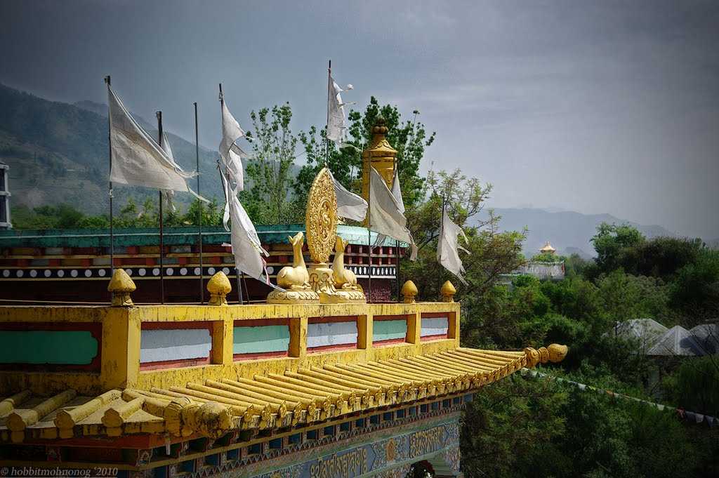 Chokling monastery Palampur